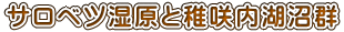 TxcƒtΏQ
