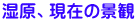 Ǎ݂i