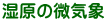 ̔C