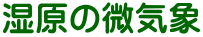 ̔C
